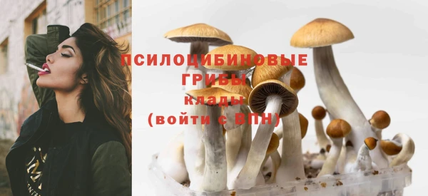 винт Балахна