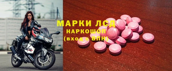 spice Аркадак