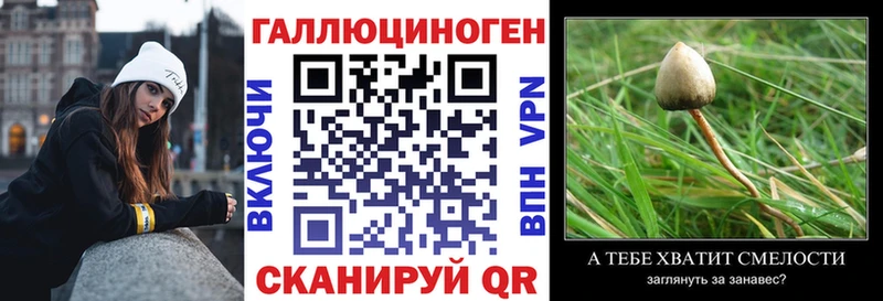 Галлюциногенные грибы Cubensis  купить наркотик  Новоржев 